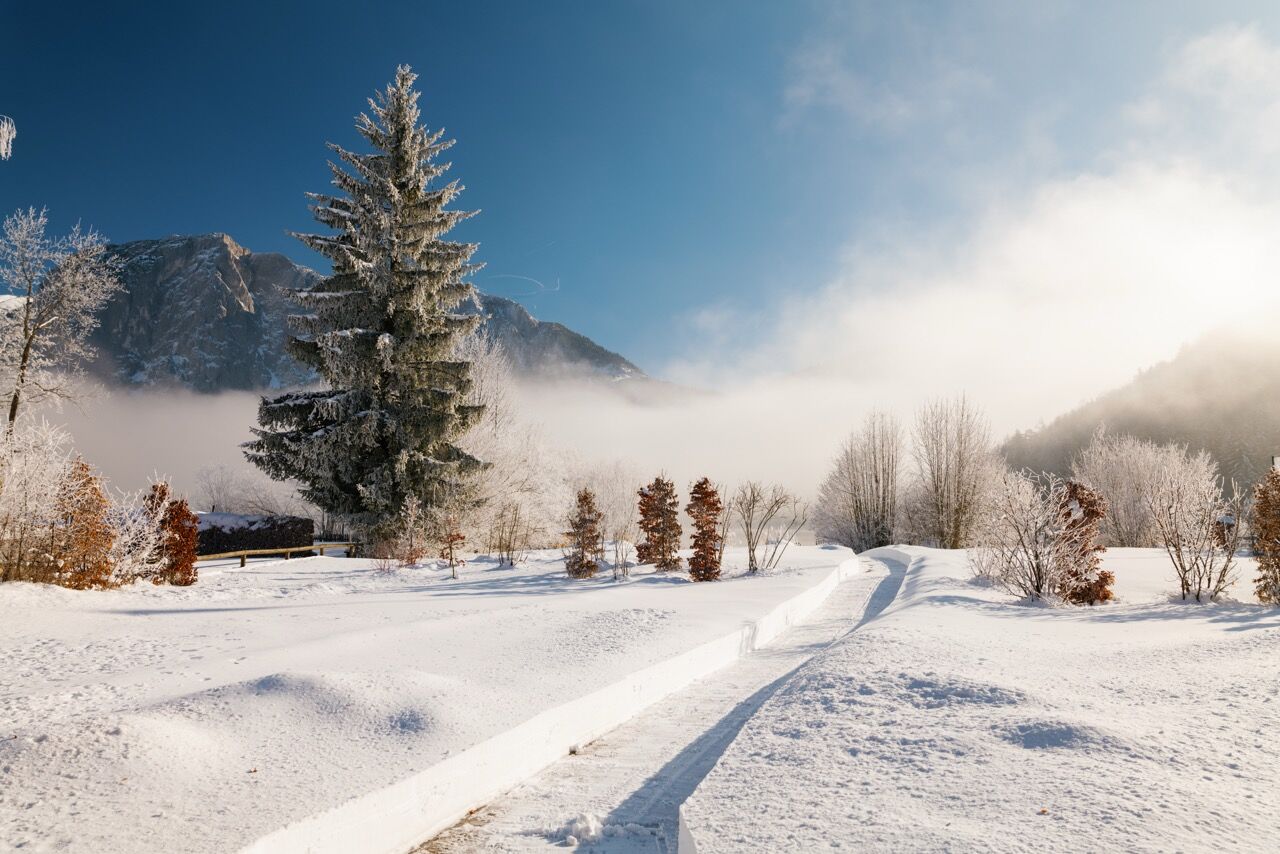 Mayrlife Altaussee