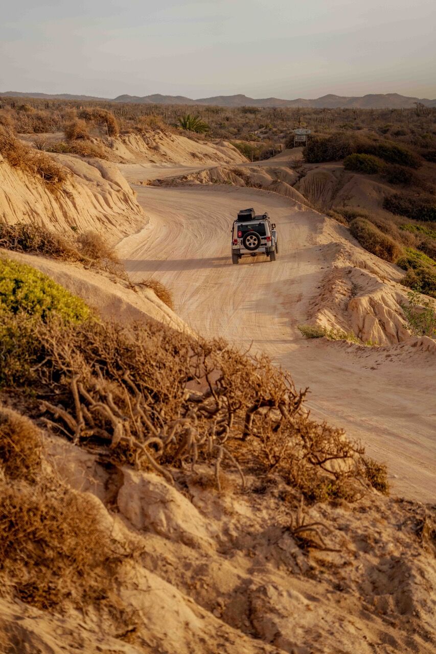 Los Cabos Wüste