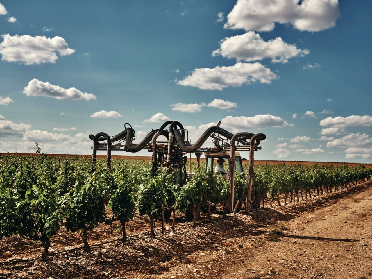 Ribera del Duero